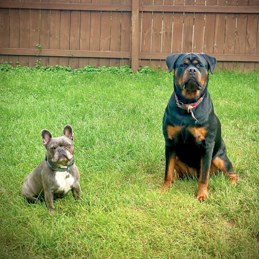 Bleu & Bellatrix Bleu & Bellatrix