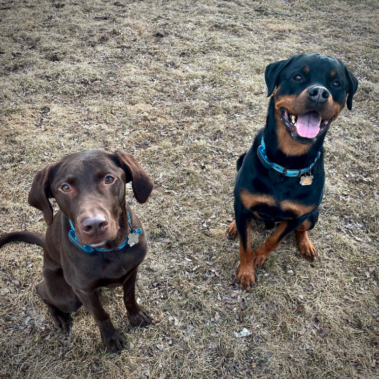 Cash & Cane 2025