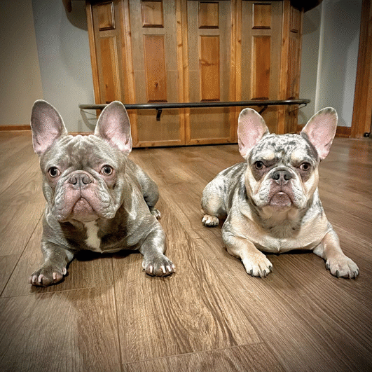 Cash & Capone Cash & Capone