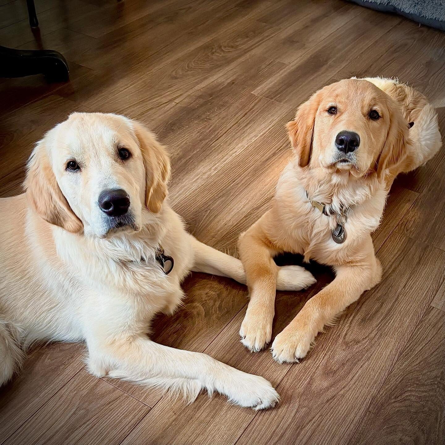 Ferris & Cameron
