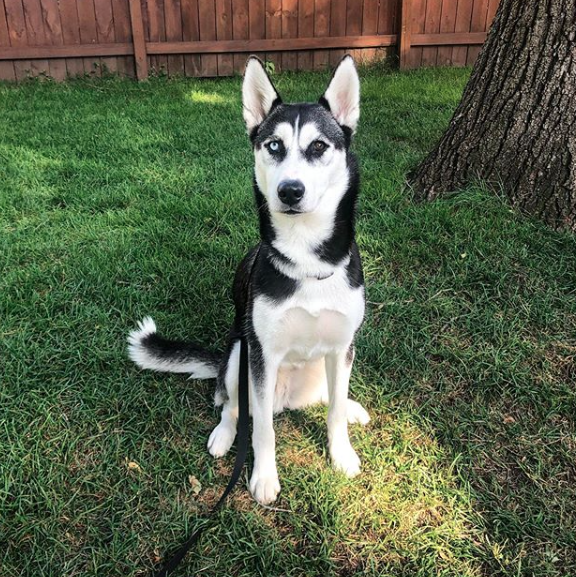 Greta