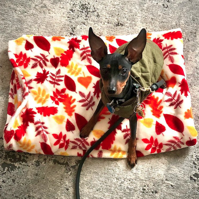 Loki 2021 Loki 2021