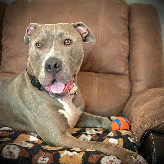 Otis Pit 2021 Otis Pit 2021