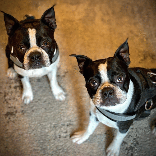 Reggie & Tugg 2021 Reggie & Tugg 2021
